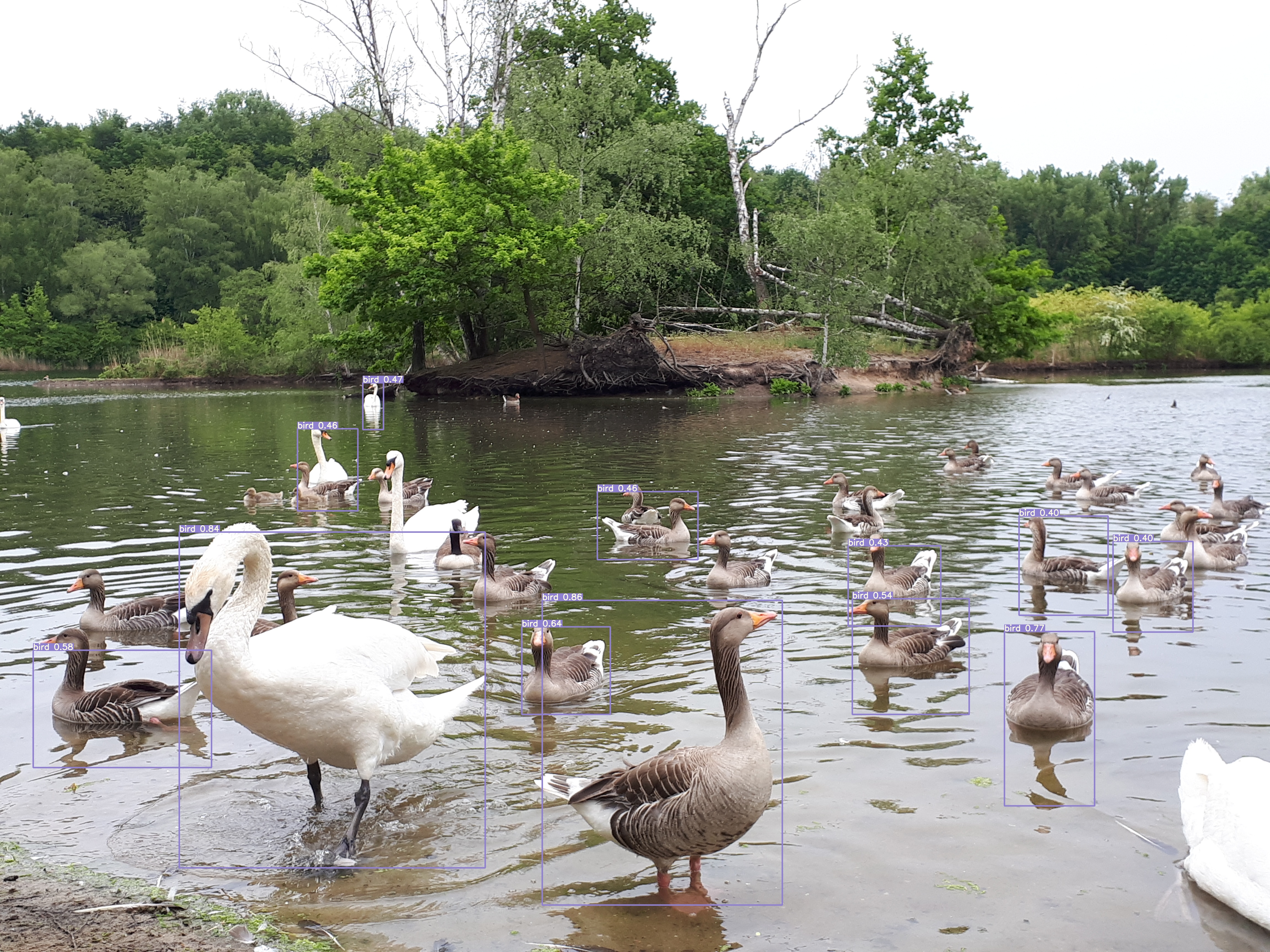 User request Thumbnail