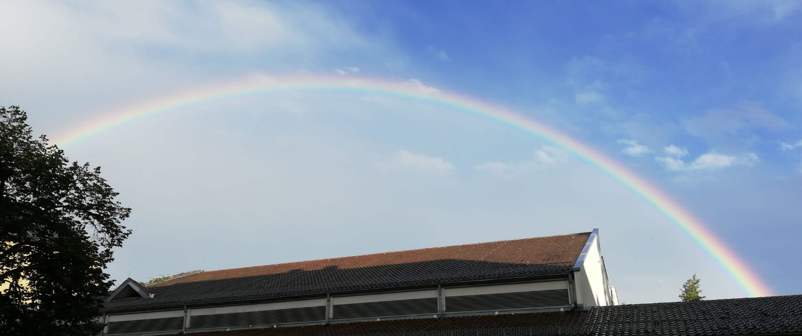 User request Thumbnail