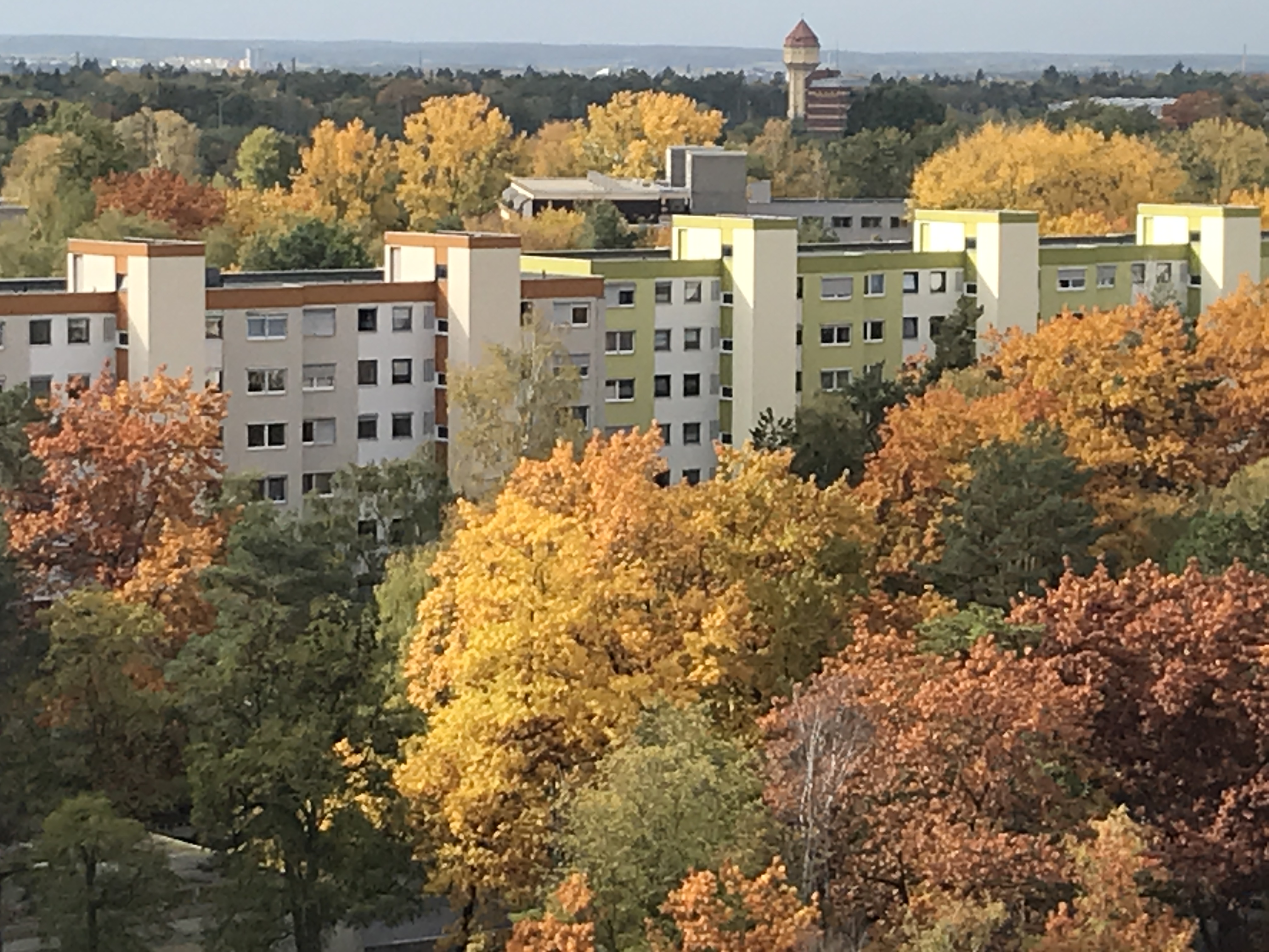 User request Thumbnail