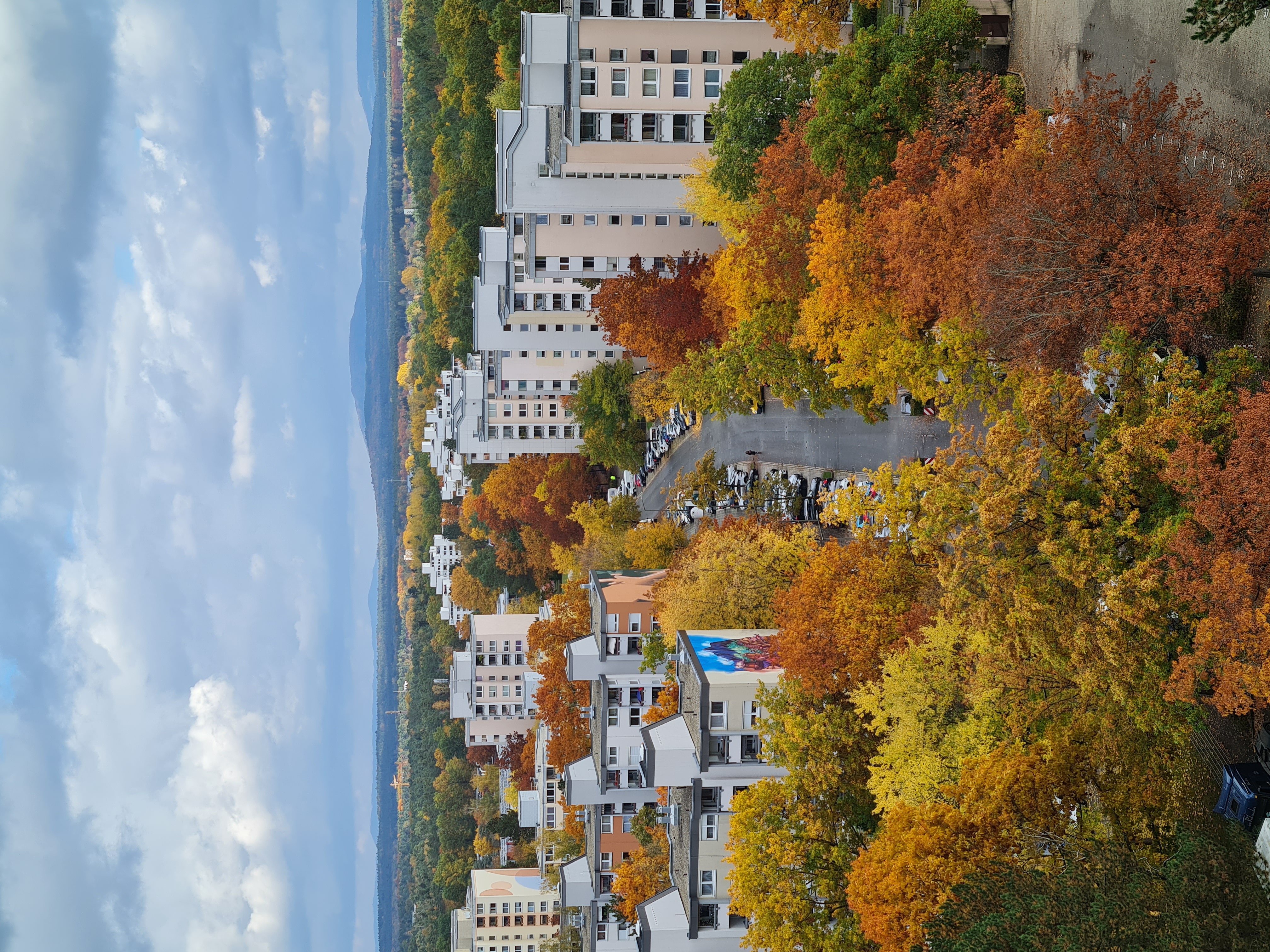 User request Thumbnail